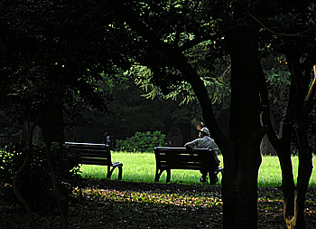 yoyogi-kouen.jpg